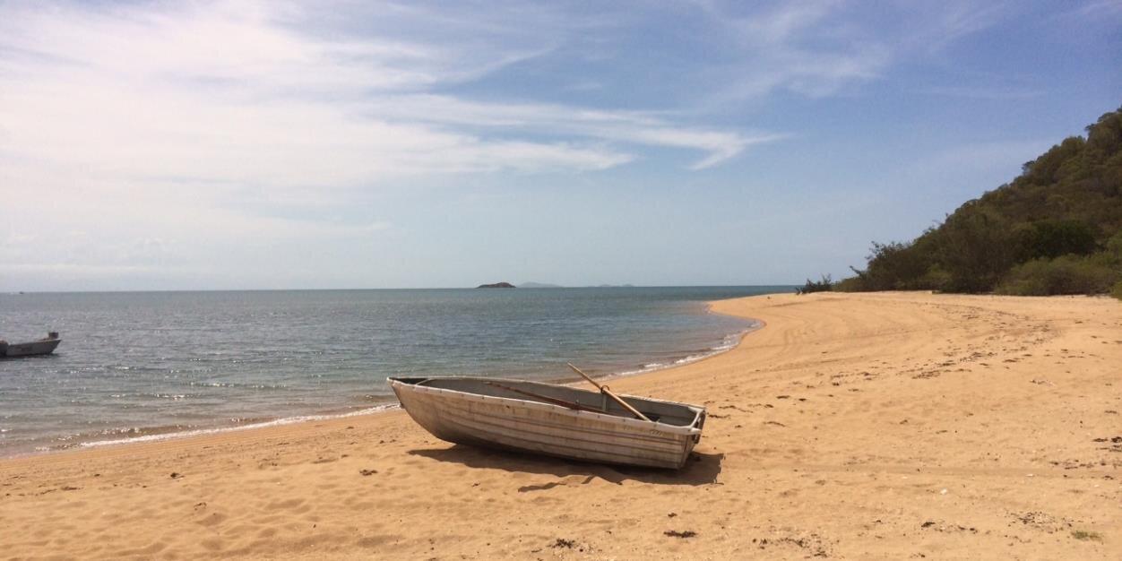 Sally Milbourne banner