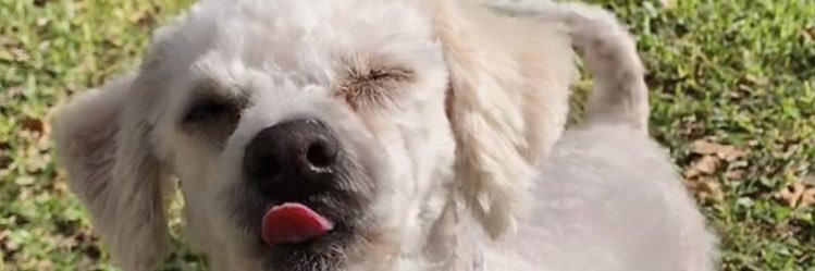 RParodi23's profile banner image