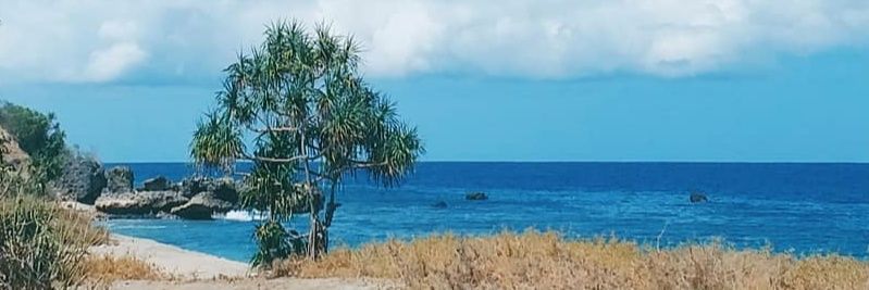 fredi_maxi's profile banner image