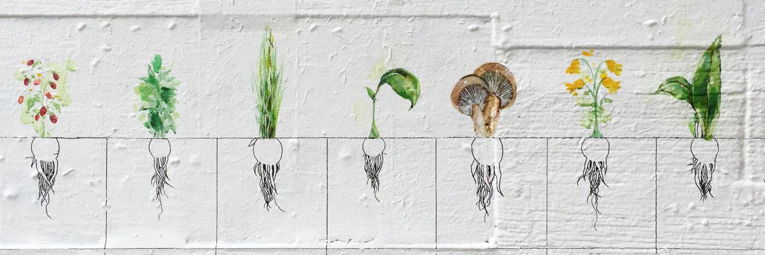 The Violet Hour banner