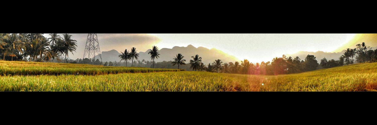 selvysy's profile banner image