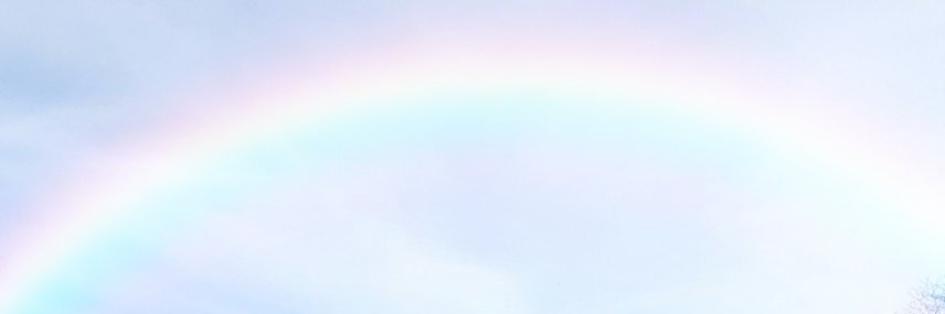 aysunsezer3's profile banner image