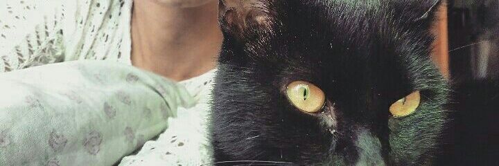 Daamarispaiva's profile banner image