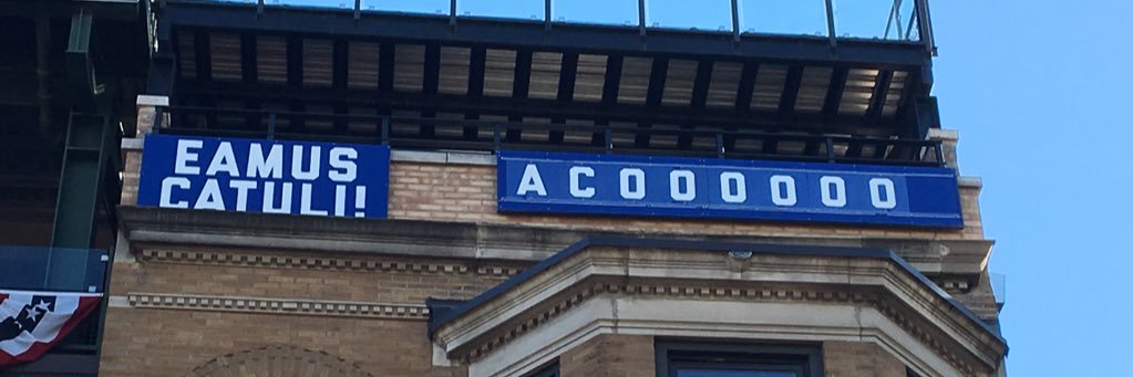 B-Liv ✶ ✶ ✶ ✶ banner