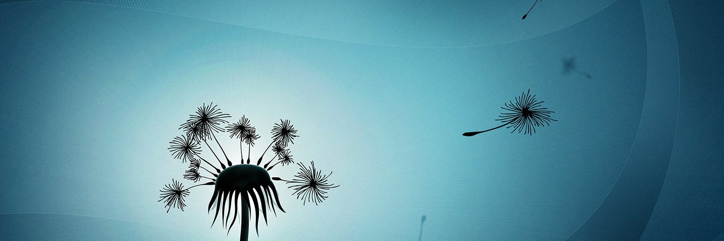 MarciaFernandes's profile banner image