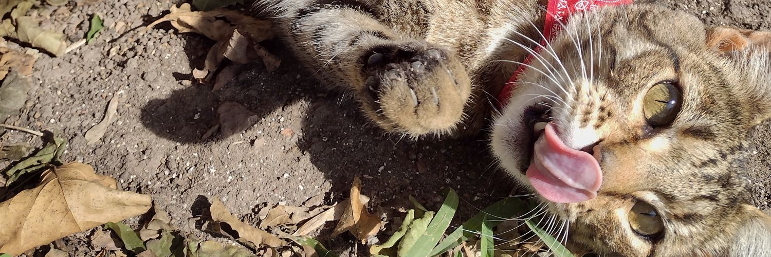 Sempiternusx's profile banner image