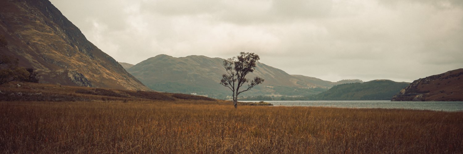 danduncn's profile banner image