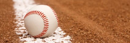 Bees Baseball banner