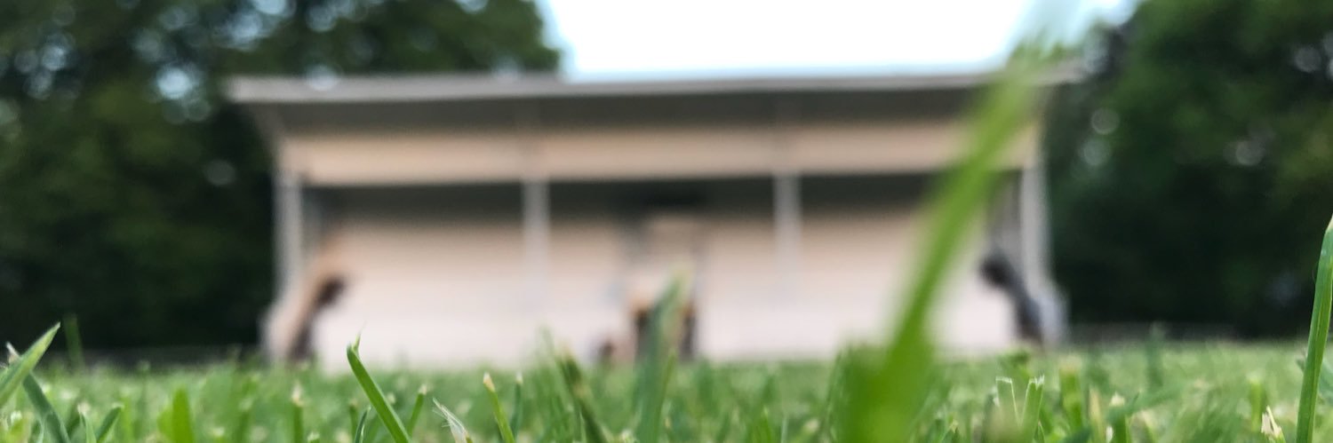 BillesholmsGIF's profile banner image