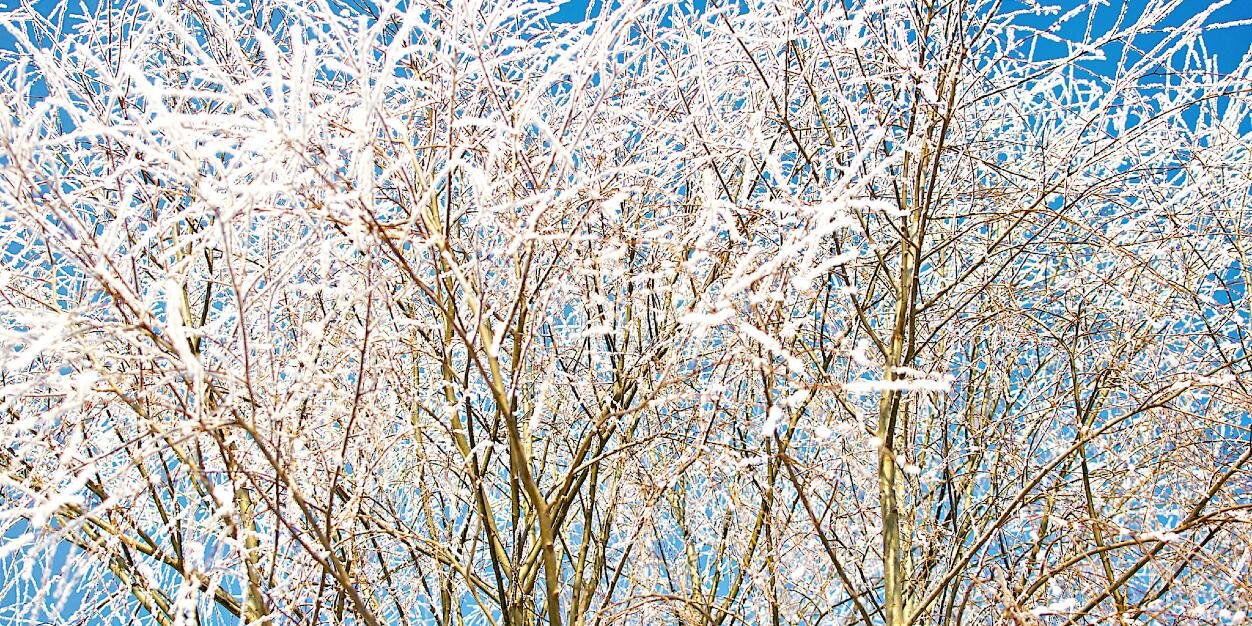 bloggdoktorn's profile banner image