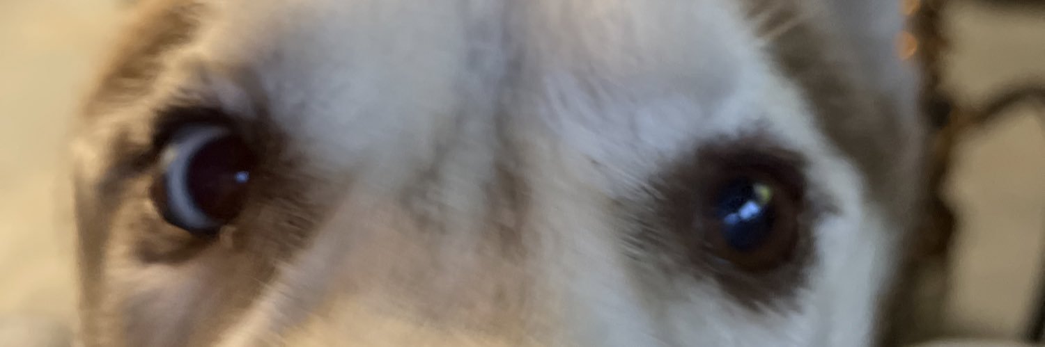 t_subawu's profile banner image