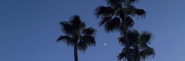 swagena Profile Banner