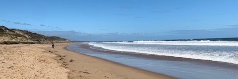 Cathy Vaughan (no longer spends time here) banner