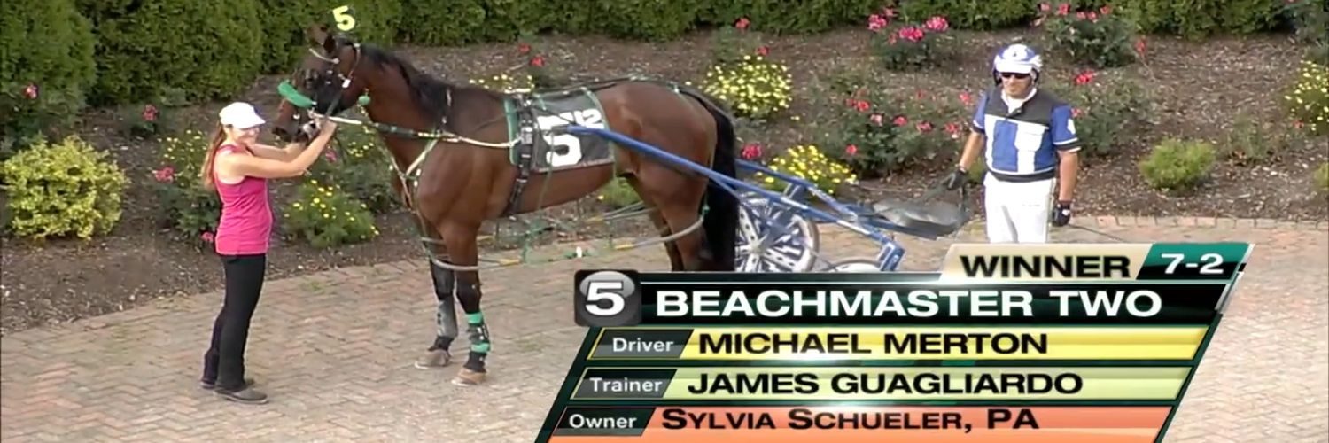 James Guagliardo banner