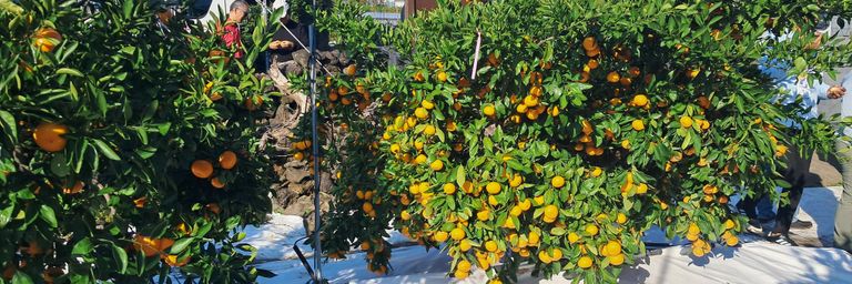 अनादीपुरूष💎 banner