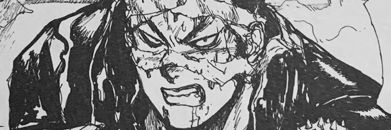 bearing the curse (10/100) banner