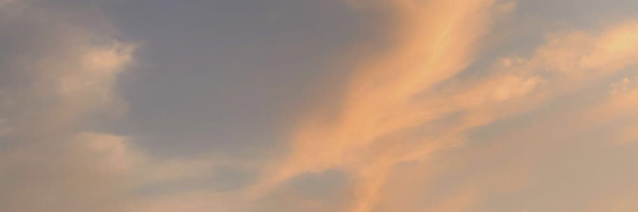 arielaxiv's profile banner image