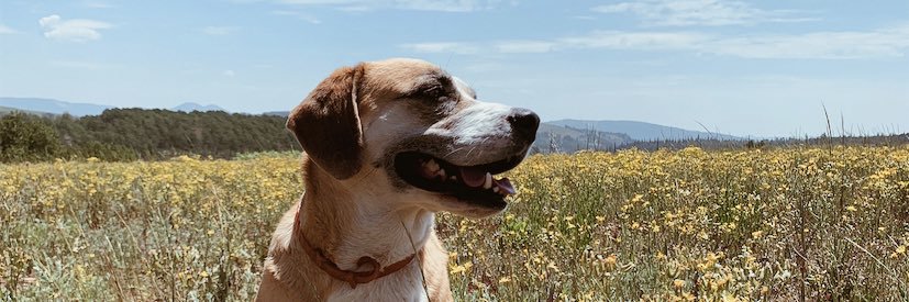 skemp28's profile banner image