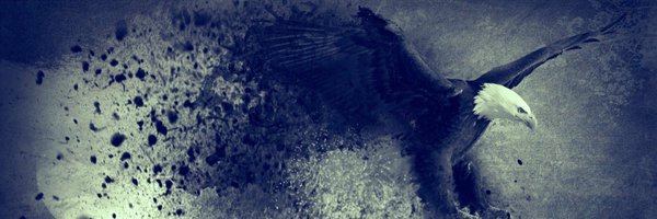 _Illyness Profile Banner