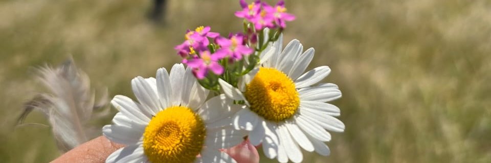 Miluu_b11's profile banner image