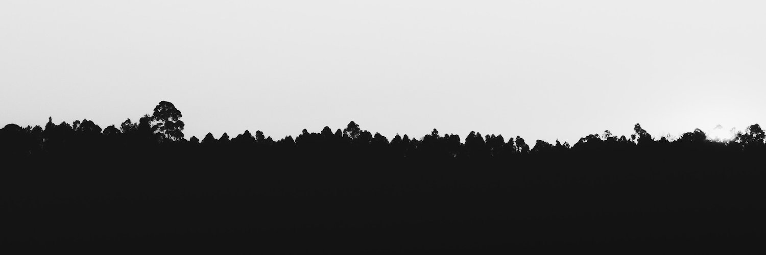 a__ribera's profile banner image