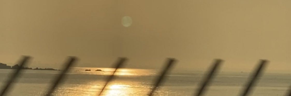 taashameor's profile banner image