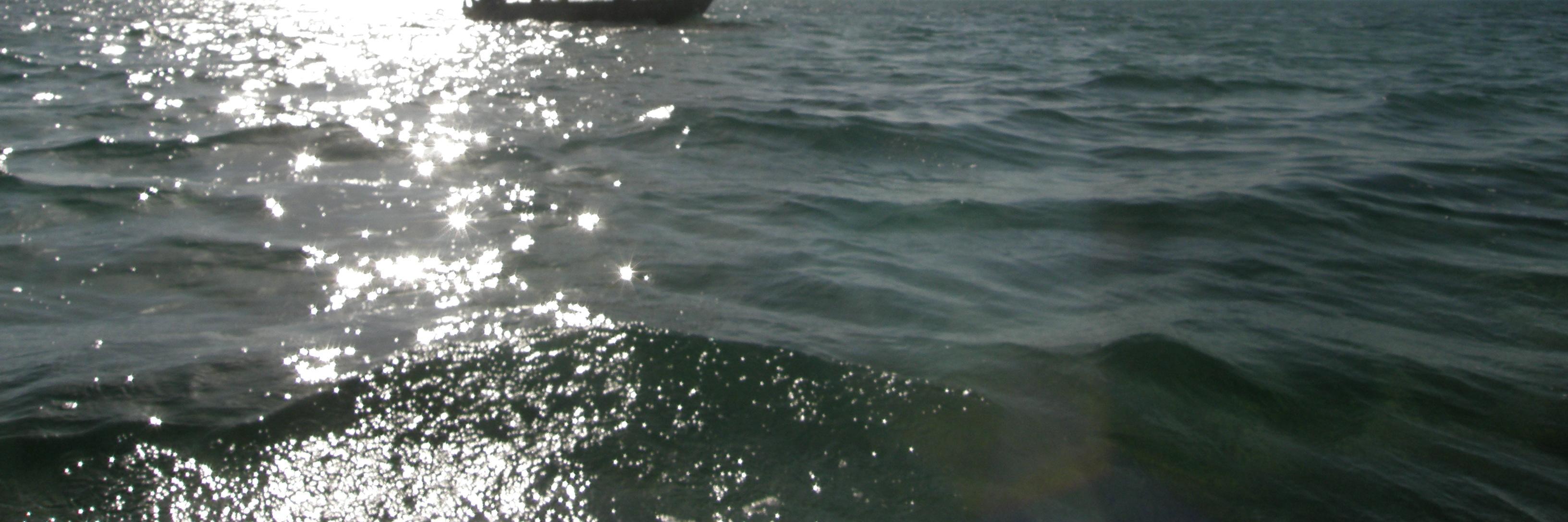Seewaldova's profile banner image
