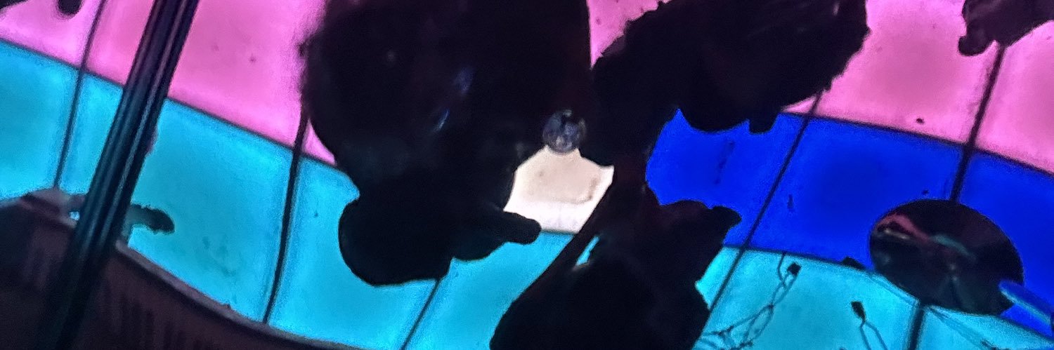 hotpinkflloyd's profile banner image