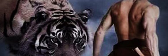أمير روك banner