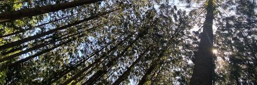 vespanat's profile banner image