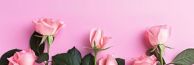 Caity_diamond's profile banner image