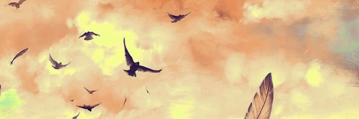 AlAlkalbani's profile banner image