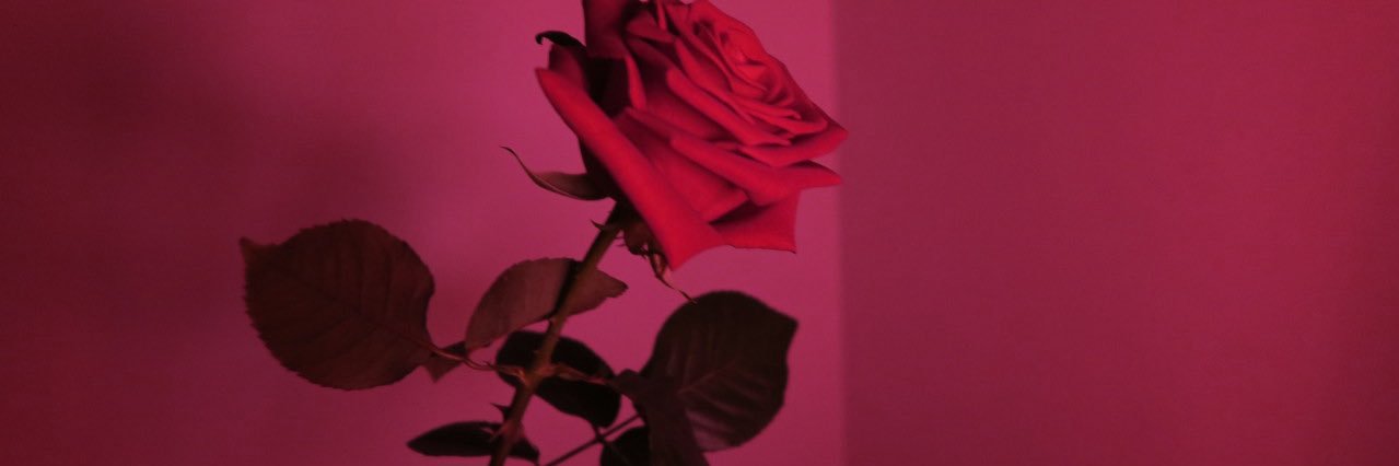K_Loyalty's profile banner image
