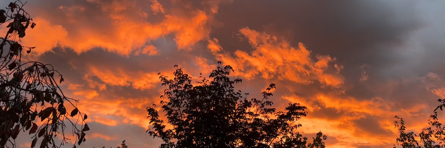 BArmestoLarson's profile banner image