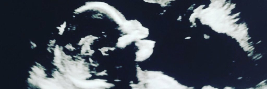Cates5Cates's profile banner image