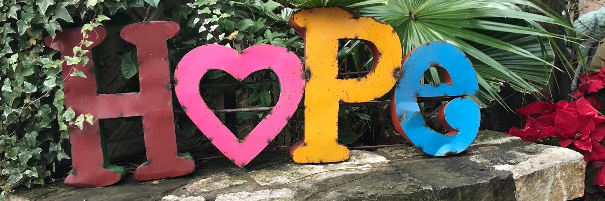 Dr. Susan Poyo banner