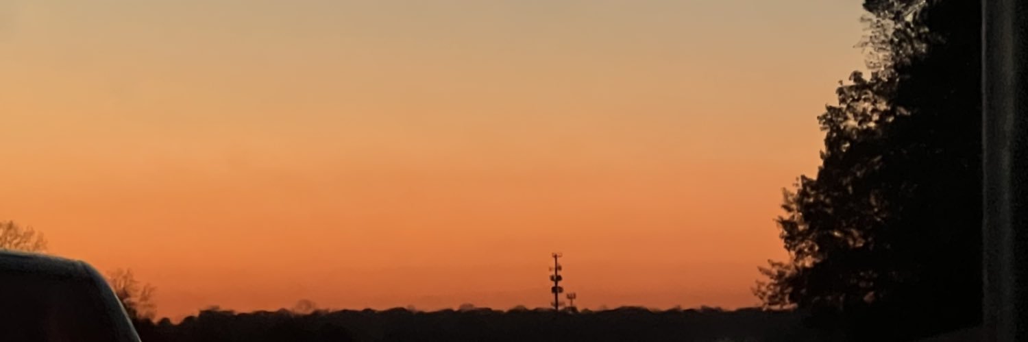 __NSC__'s profile banner image