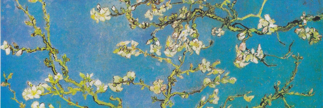 Zuzanna Stanska banner