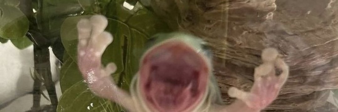 robbykmjr's profile banner image