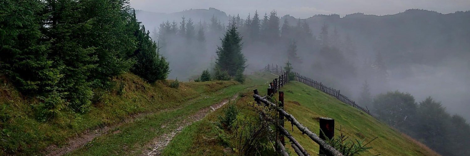 tarabarinov's profile banner image