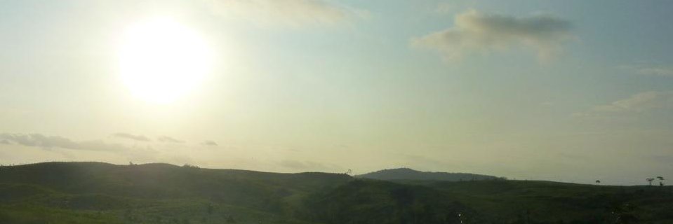 Diana Zlomislic banner