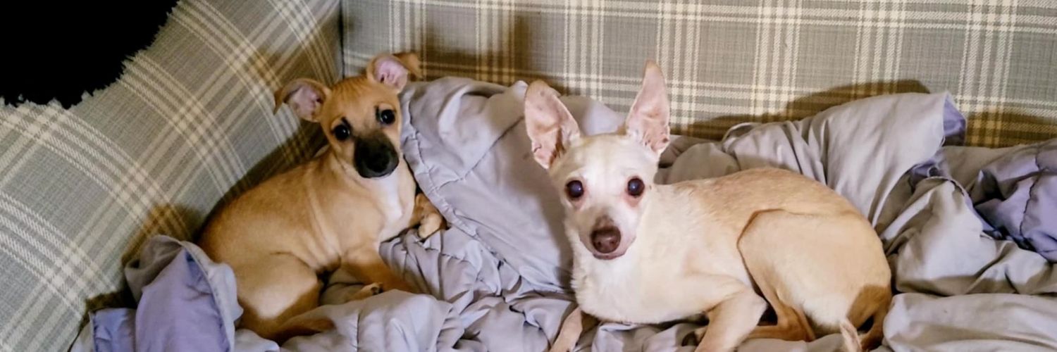 Geri Something 🌊🌊🌊 banner