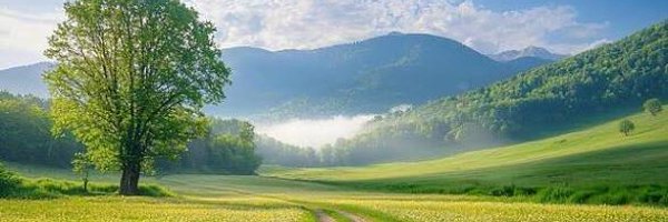 サラリーマン株ログ banner
