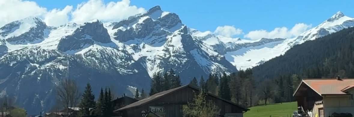 Rachael Ferguson banner