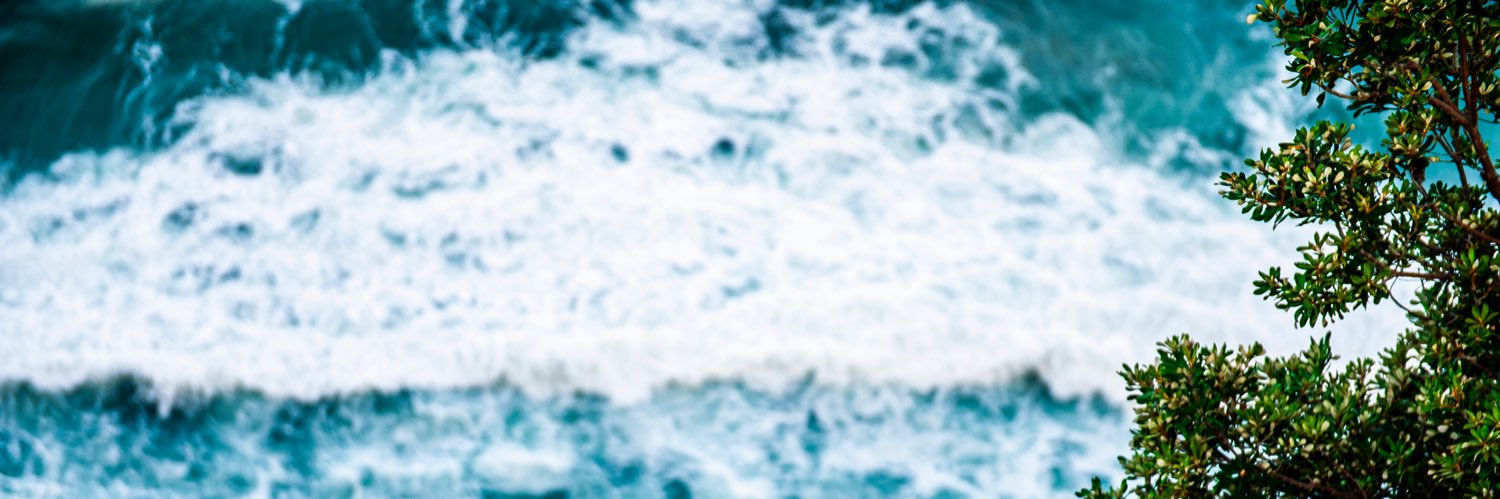 ewerttsailorman's profile banner image