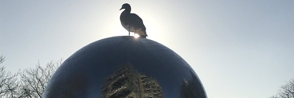 jasminewbc Profile Banner