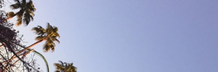 cameronn338's profile banner image