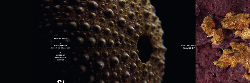 DenisRodd's profile banner image
