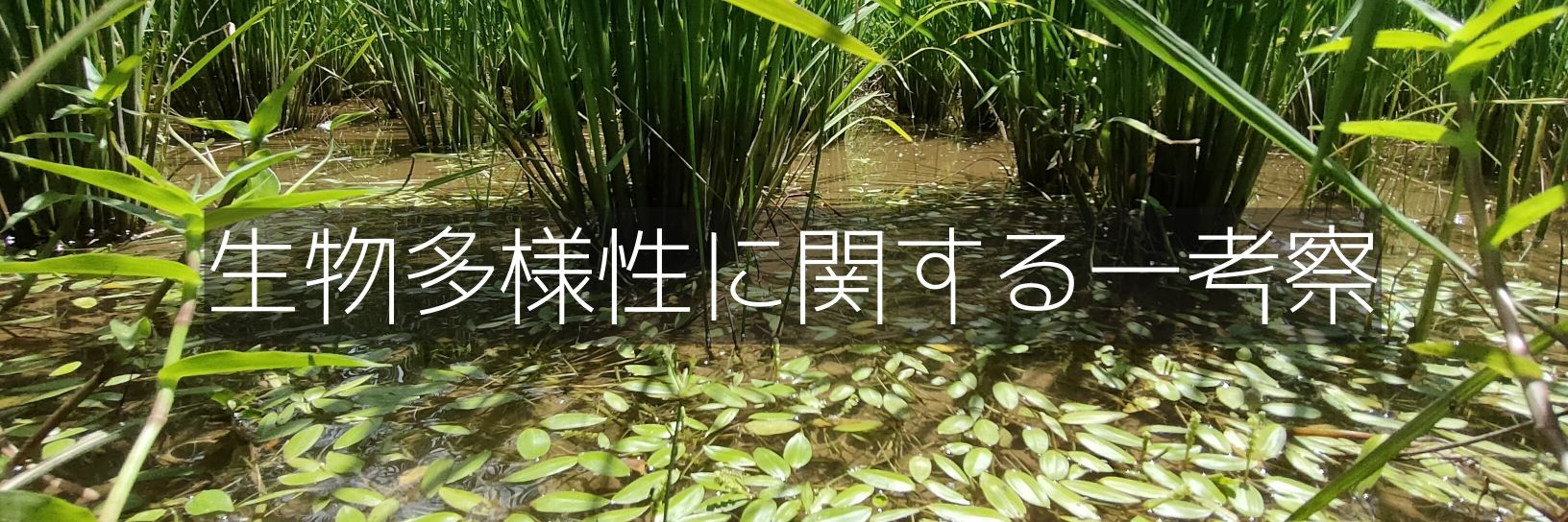 小宮 春平(湿地帯を管理する人) banner