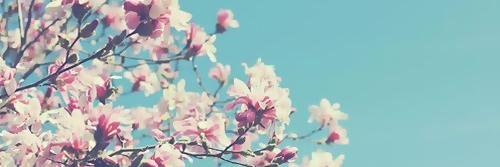 irenegr_96's profile banner image